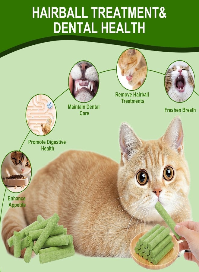 SuPruida 110g Cat Grass Sticks for Indoor Cats, Natural Freeze-Dried Treats, Hairball Treatment, Edible Chew Toy Snack for Teething & Hairball Removal - Image 3